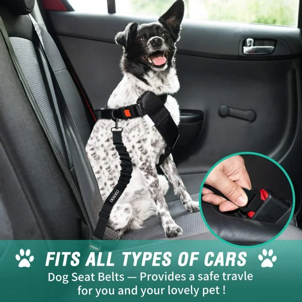 N/A dog seat